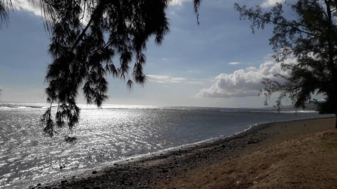 Appart Lumineux Vue Mer Leu Emra Saint-Leu Exteriör bild
